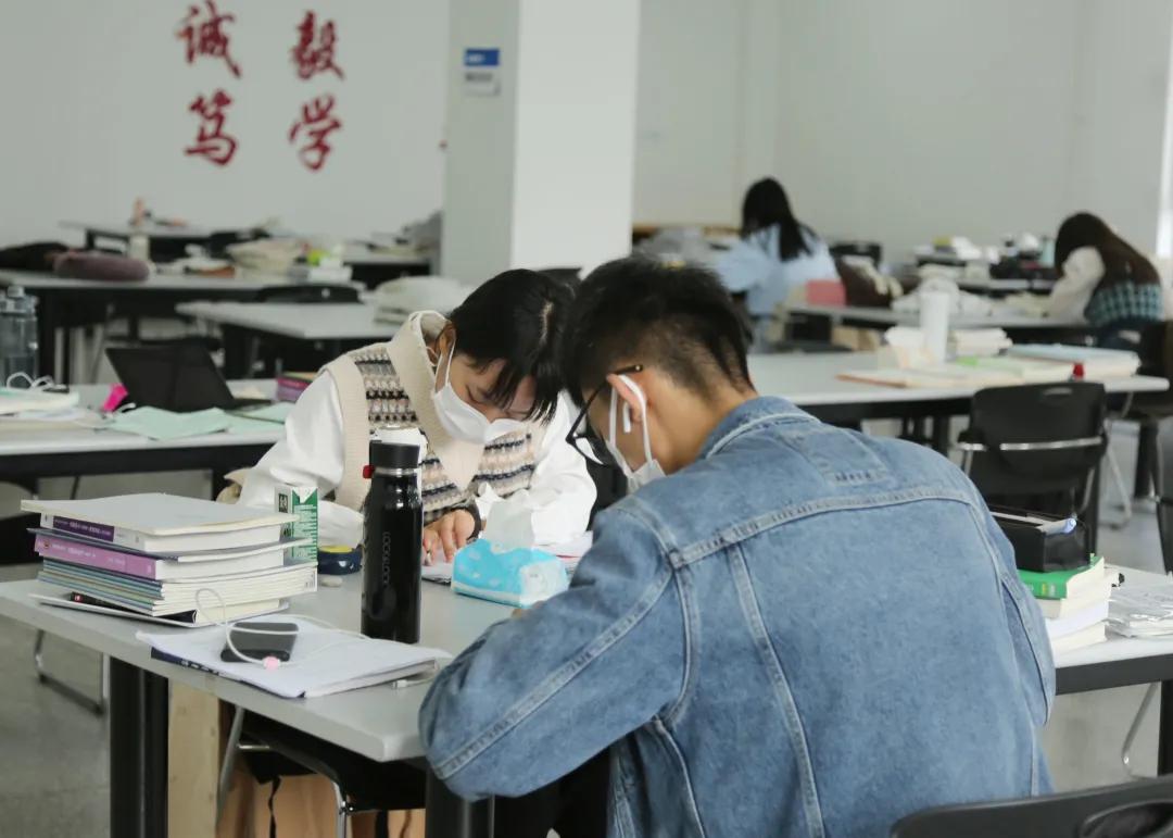 哈尔滨疫情实时动态发布，查询指南与应对策略