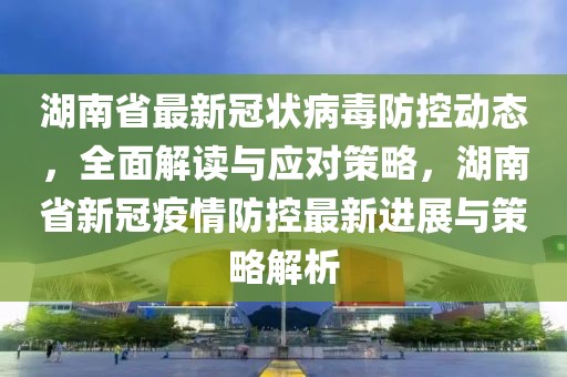 广东长沙疫情防控的挑战与应对策略