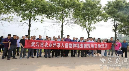 海南省对广州防控的支持与合作，携手共筑健康防线