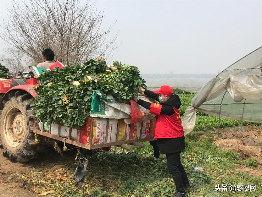 安徽与天津携手抗疫，共筑防线克时艰