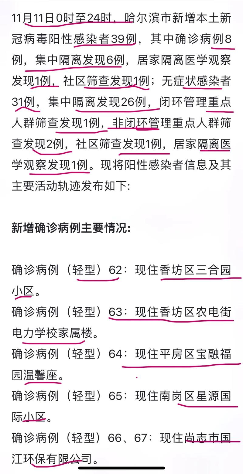 上海与哈尔滨疫情最新动态概览