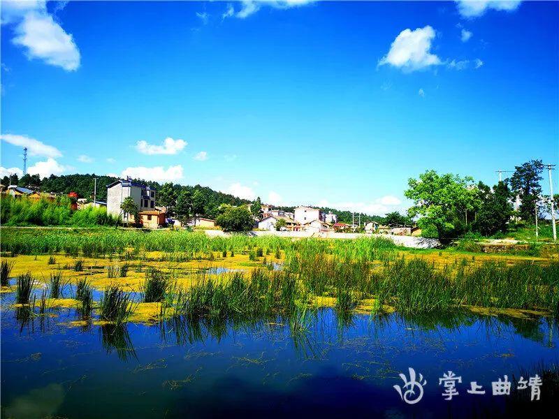 广西壮族自治区防控中心，筑牢公共卫生防线，守护壮乡人民健康