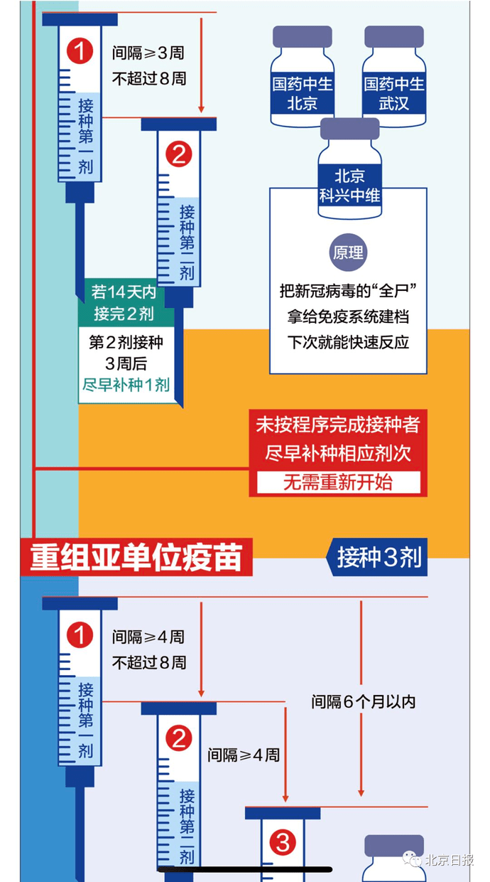 北京疫苗与长春疫苗的区别，技术路线、保护效力与适用人群全面解析