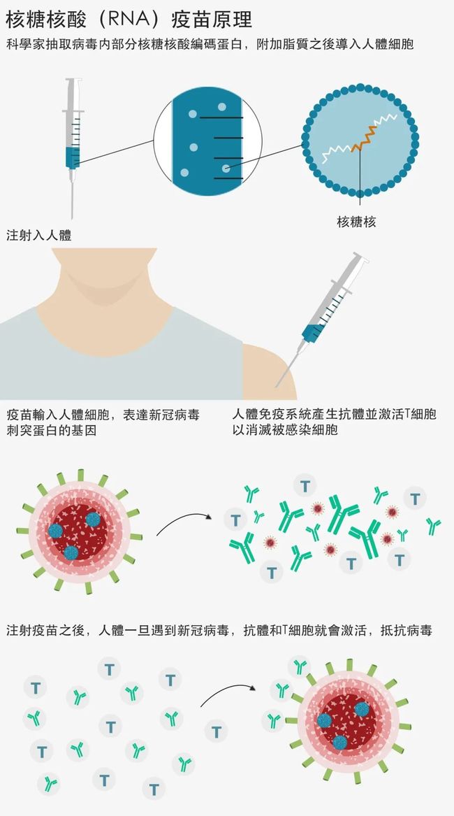北京疫苗与重庆疫苗的区别，生产、接种与效果全面解析