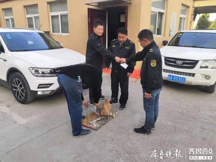 【济南城管工地执法后续工作/济南城管工地执法后续工作安排】