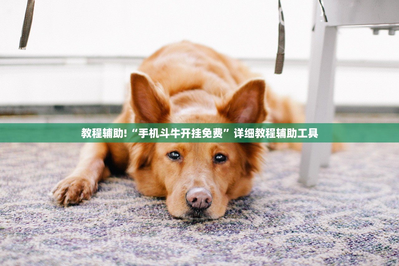 教程辅助!“手机斗牛开挂免费”详细教程辅助工具