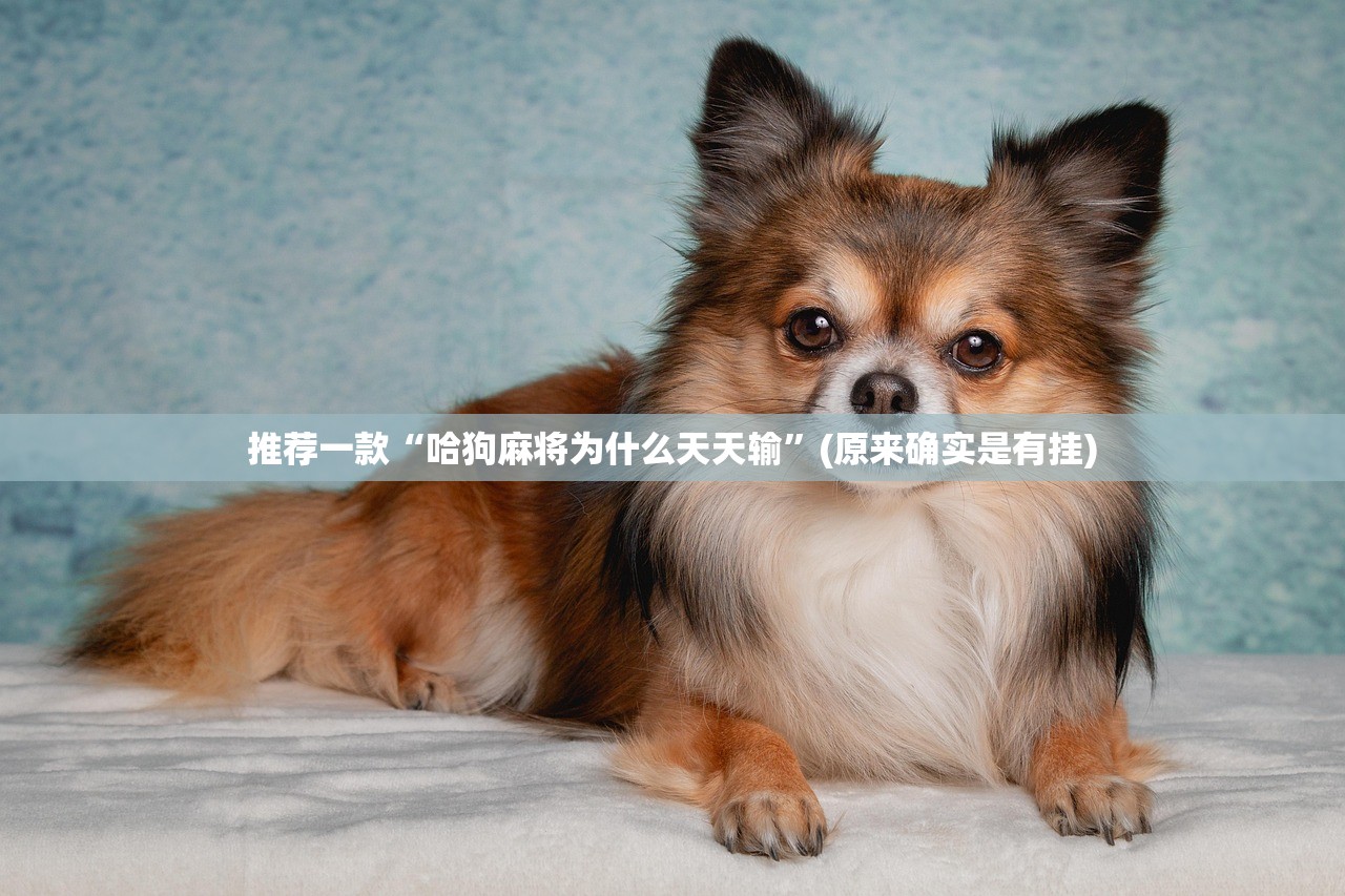 推荐一款“哈狗麻将为什么天天输”(原来确实是有挂)