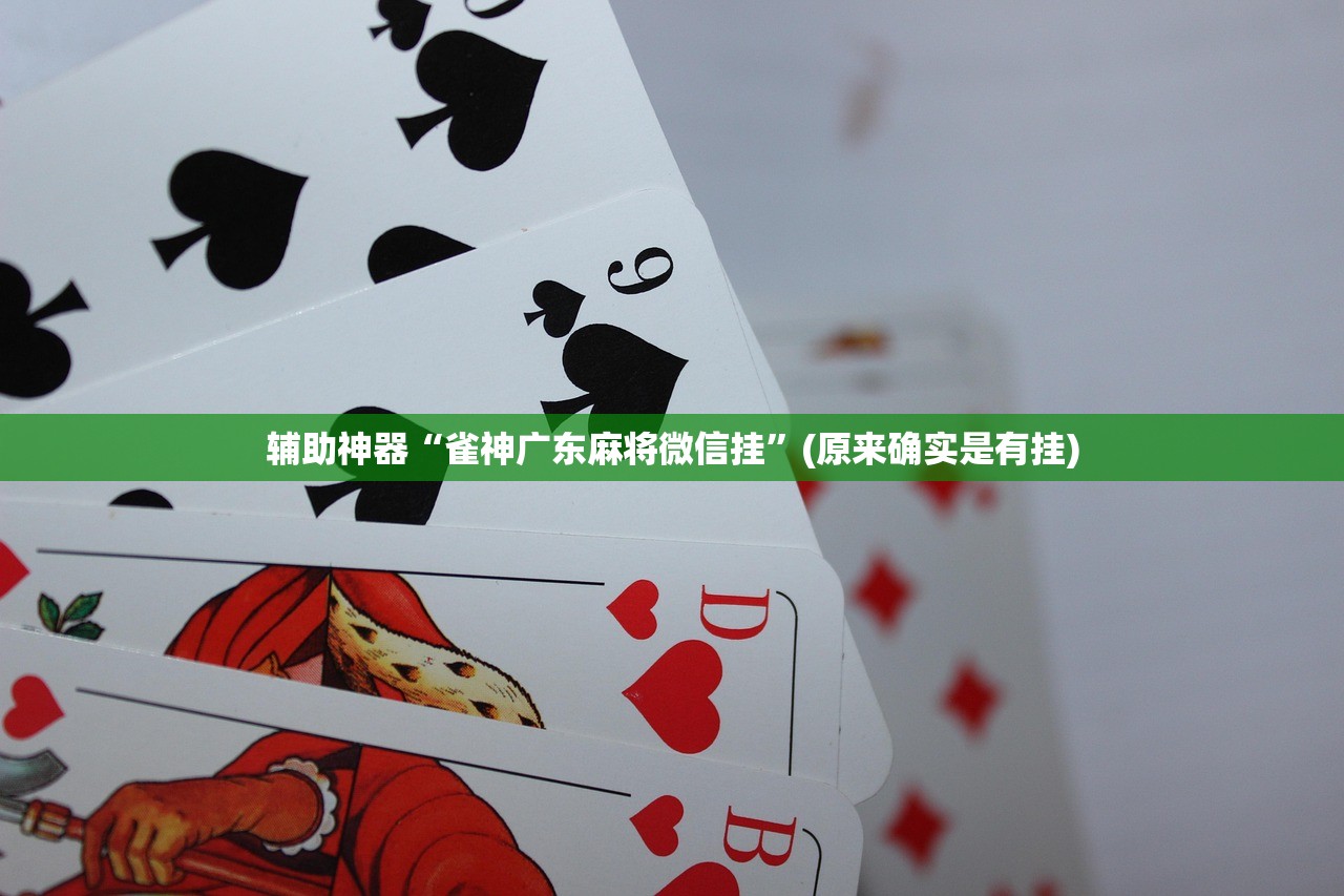 辅助神器“雀神广东麻将微信挂”(原来确实是有挂)
