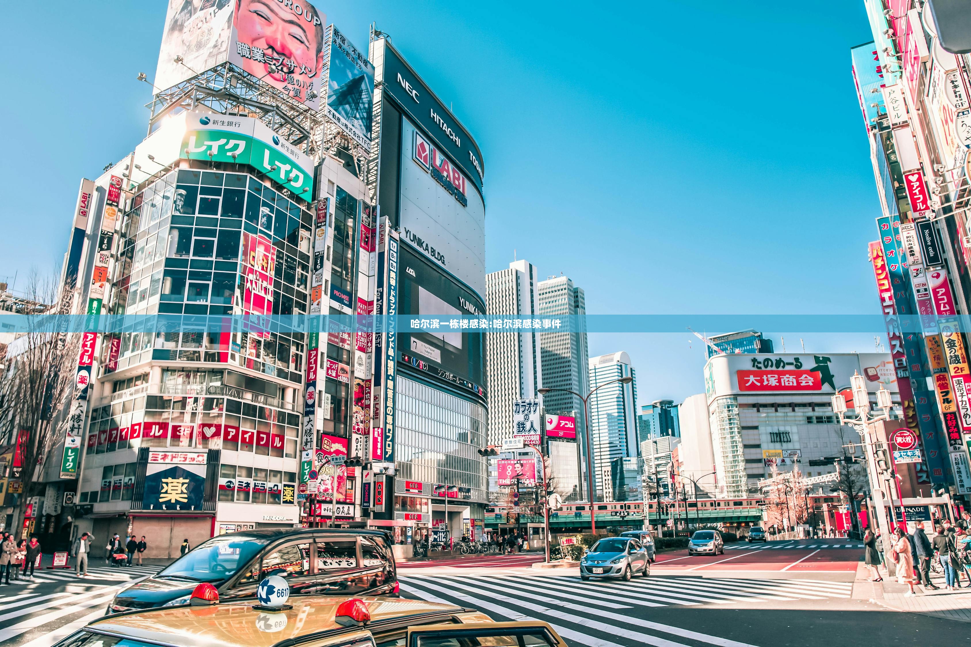 哈尔滨一栋楼感染:哈尔滨感染事件