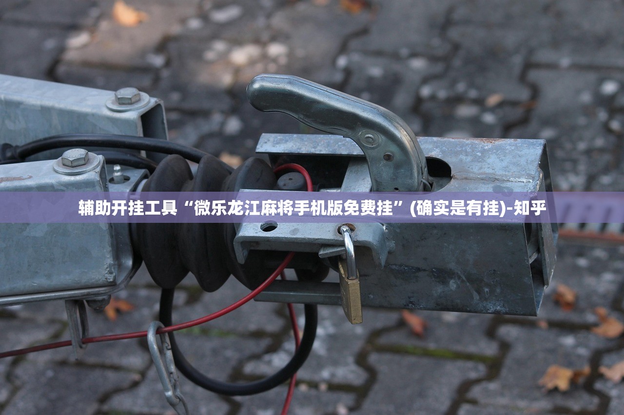 辅助开挂工具“微乐龙江麻将手机版免费挂”(确实是有挂)-知乎
