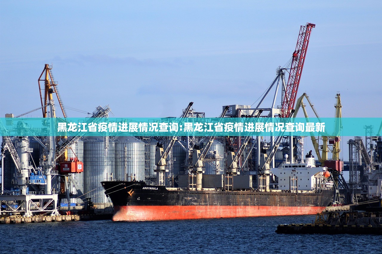 黑龙江省疫情进展情况查询:黑龙江省疫情进展情况查询最新