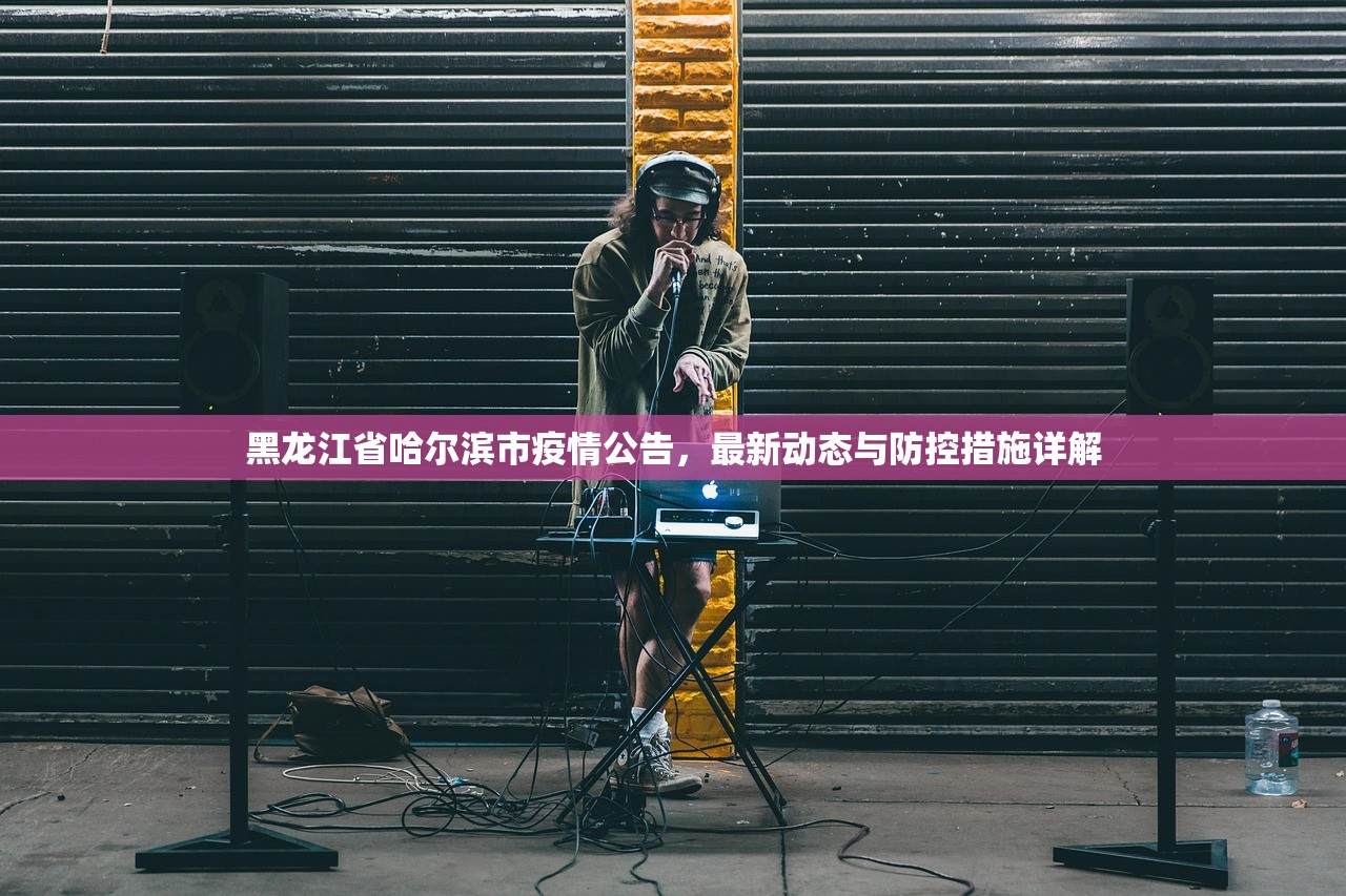 黑龙江省哈尔滨市疫情公告，最新动态与防控措施详解