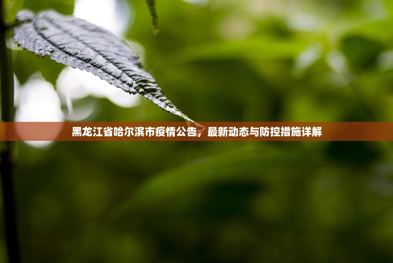 黑龙江省哈尔滨市疫情公告，最新动态与防控措施详解