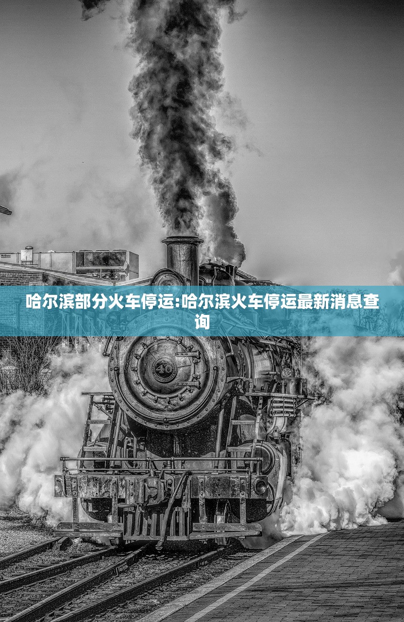 哈尔滨部分火车停运:哈尔滨火车停运最新消息查询