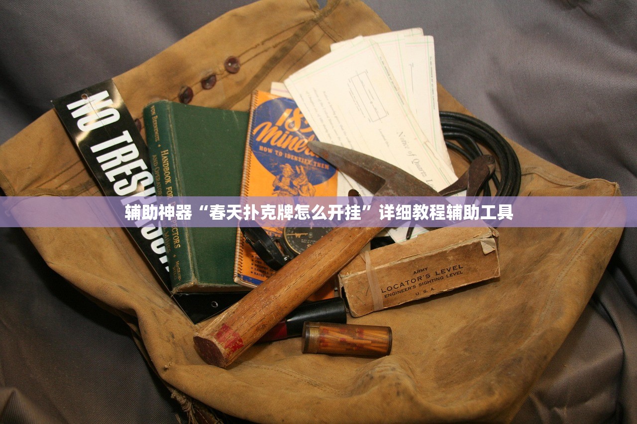 辅助神器“春天扑克牌怎么开挂”详细教程辅助工具