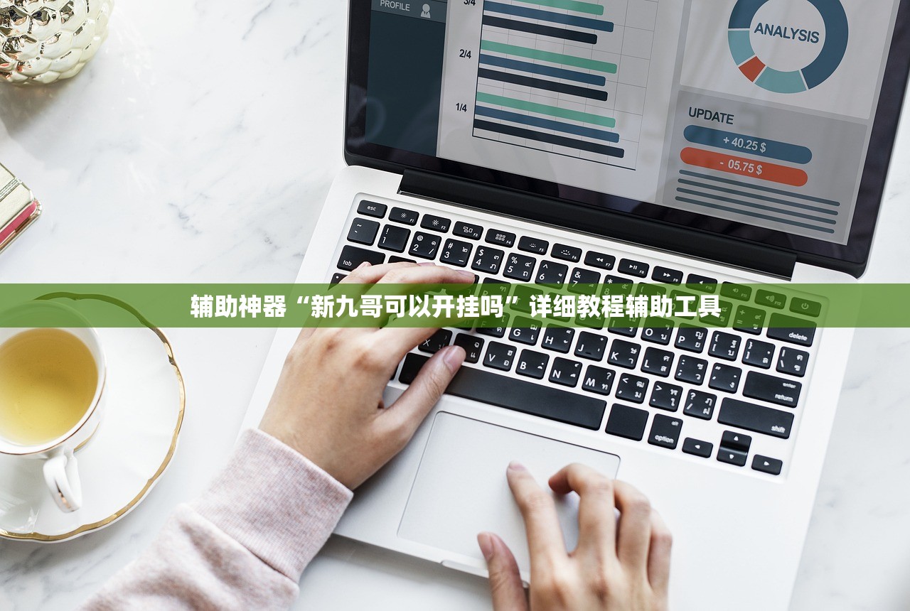 辅助神器“新九哥可以开挂吗”详细教程辅助工具