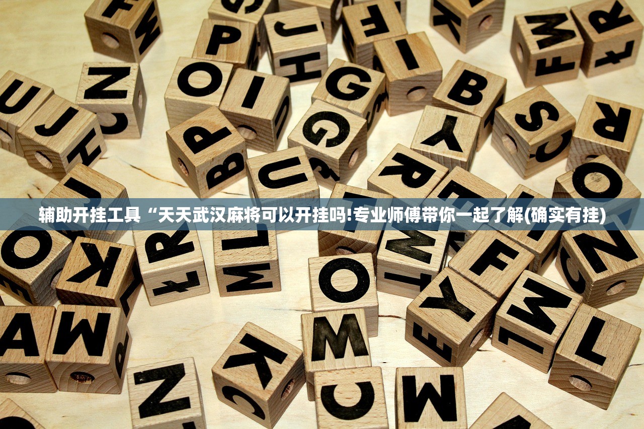 辅助开挂工具“天天武汉麻将可以开挂吗!专业师傅带你一起了解(确实有挂)