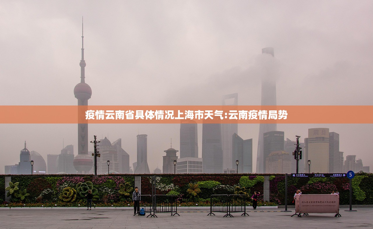 疫情云南省具体情况上海市天气:云南疫情局势