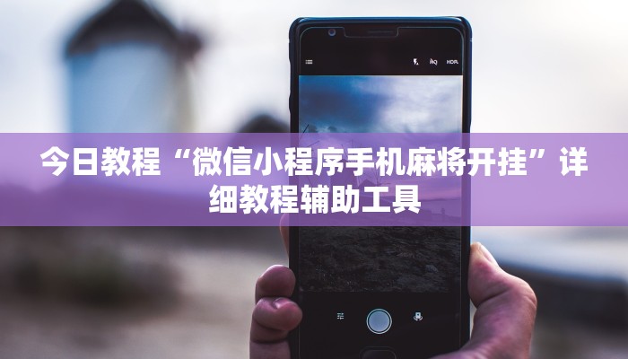 今日教程“微信小程序手机麻将开挂”详细教程辅助工具