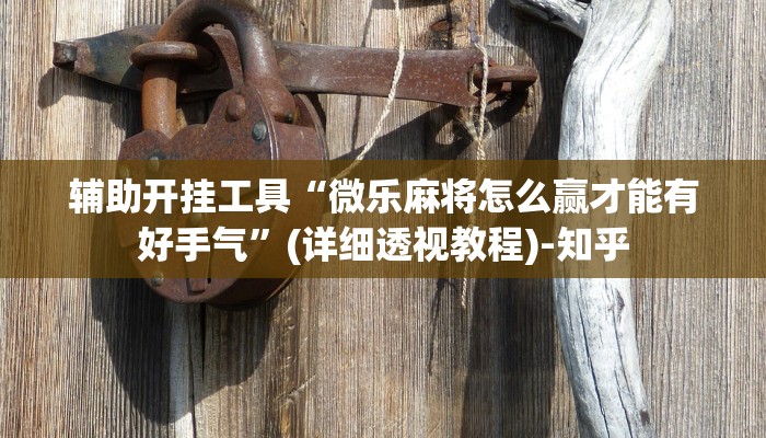 辅助开挂工具“微乐麻将怎么赢才能有好手气”(详细透视教程)-知乎