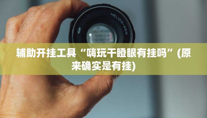 辅助开挂工具“嗨玩干瞪眼有挂吗”(原来确实是有挂)