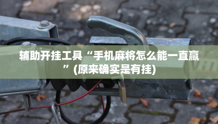 辅助开挂工具“手机麻将怎么能一直赢”(原来确实是有挂)
