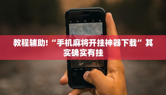 教程辅助!“手机麻将开挂神器下载”其实确实有挂