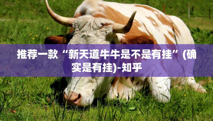 推荐一款“新天道牛牛是不是有挂”(确实是有挂)-知乎
