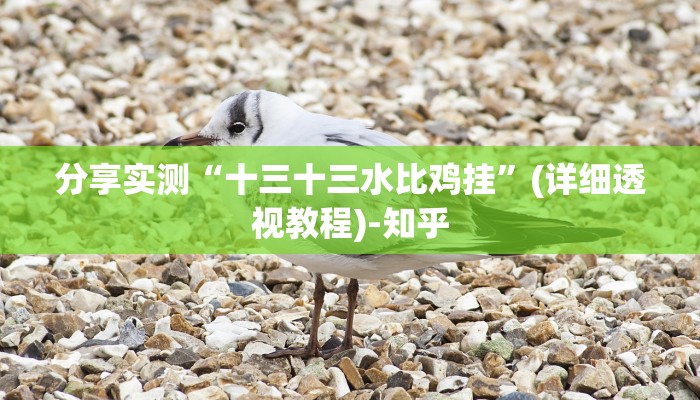 分享实测“十三十三水比鸡挂”(详细透视教程)-知乎