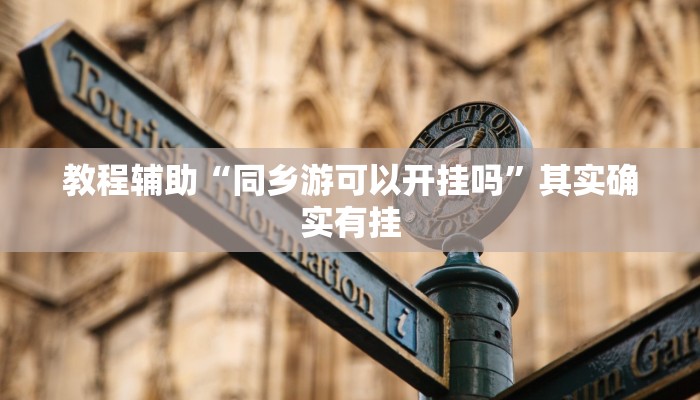 教程辅助“同乡游可以开挂吗”其实确实有挂