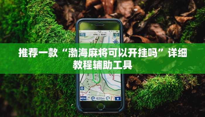 推荐一款“渤海麻将可以开挂吗”详细教程辅助工具