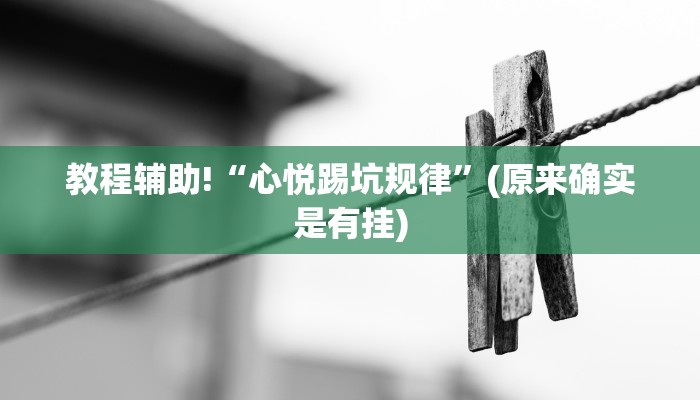 教程辅助!“心悦踢坑规律”(原来确实是有挂)