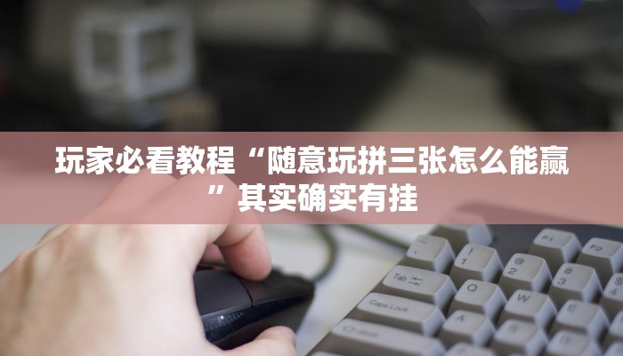 玩家必看教程“随意玩拼三张怎么能赢”其实确实有挂