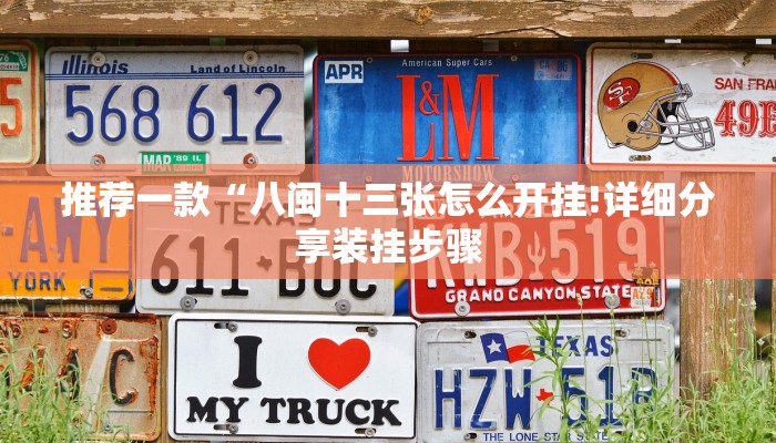 推荐一款“八闽十三张怎么开挂!详细分享装挂步骤
