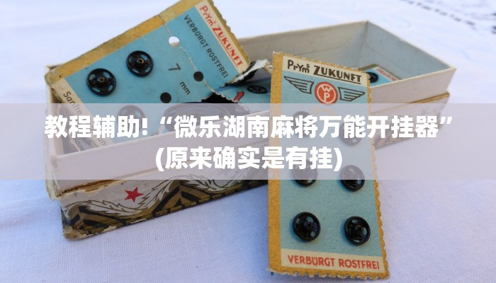 教程辅助!“微乐湖南麻将万能开挂器”(原来确实是有挂)