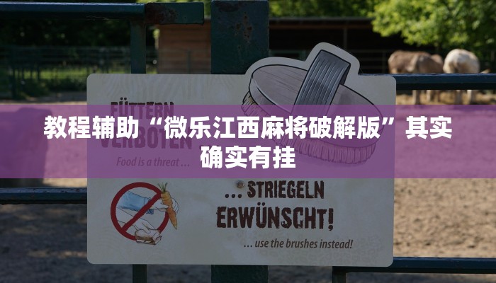 教程辅助“微乐江西麻将破解版”其实确实有挂