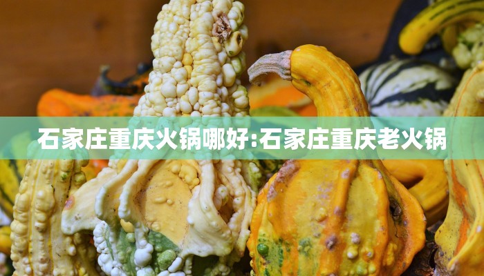 石家庄重庆火锅哪好:石家庄重庆老火锅