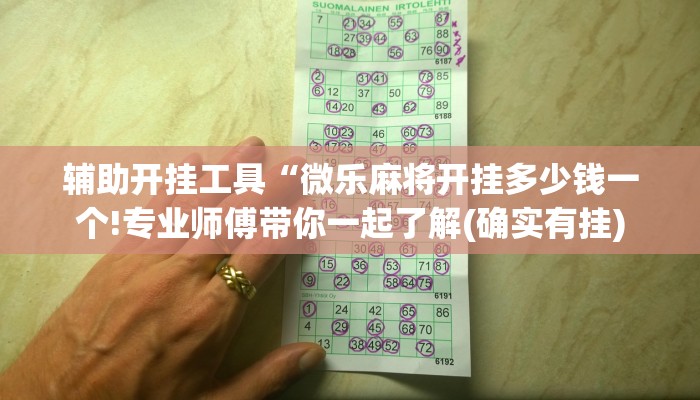 辅助开挂工具“微乐麻将开挂多少钱一个!专业师傅带你一起了解(确实有挂)