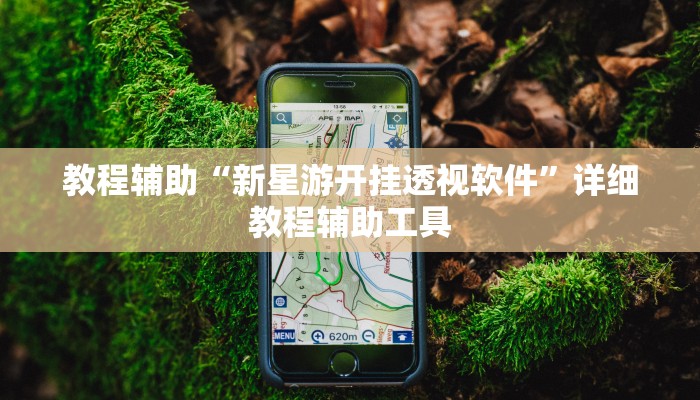 教程辅助“新星游开挂透视软件”详细教程辅助工具