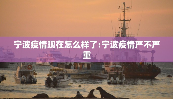 宁波疫情现在怎么样了:宁波疫情严不严重