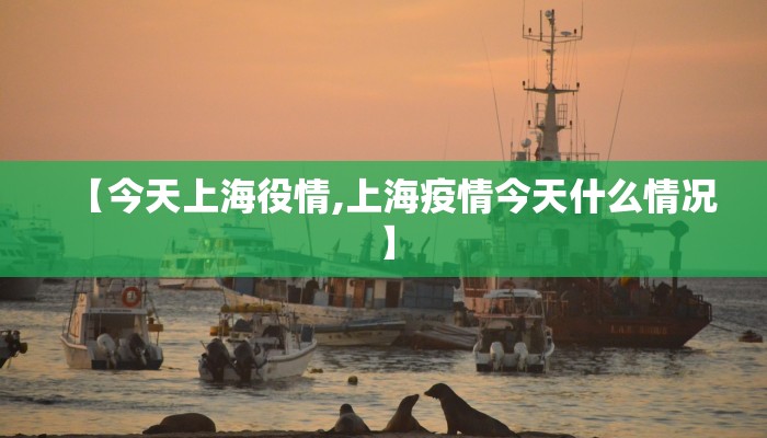 【今天上海役情,上海疫情今天什么情况】