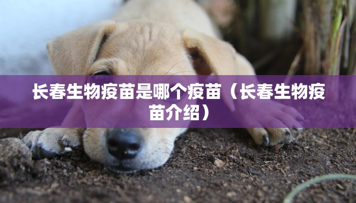 长春生物疫苗是哪个疫苗（长春生物疫苗介绍）