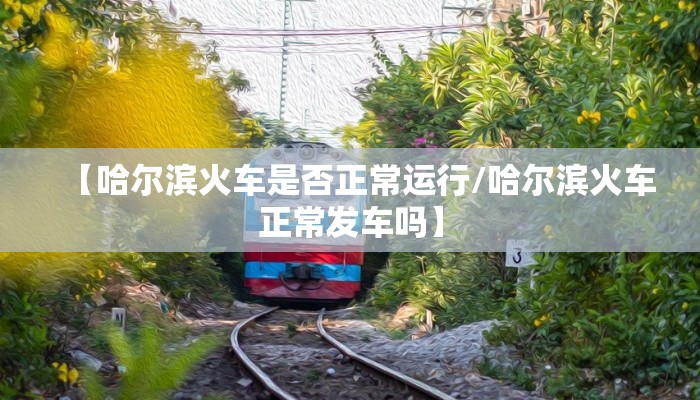 【哈尔滨火车是否正常运行/哈尔滨火车正常发车吗】