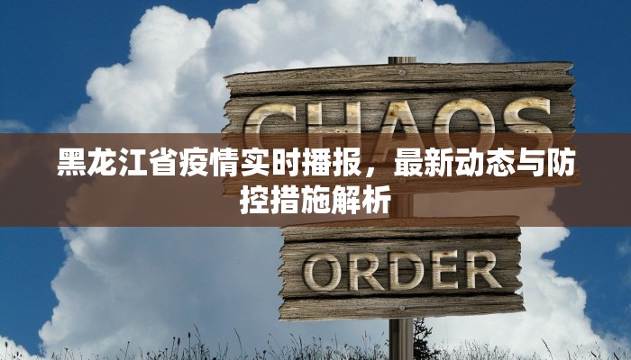 黑龙江省疫情实时播报，最新动态与防控措施解析
