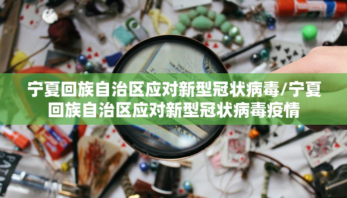 宁夏回族自治区应对新型冠状病毒/宁夏回族自治区应对新型冠状病毒疫情