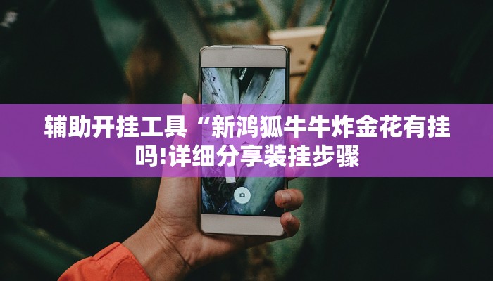辅助开挂工具“新鸿狐牛牛炸金花有挂吗!详细分享装挂步骤