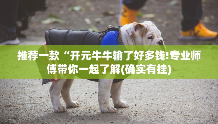 推荐一款“开元牛牛输了好多钱!专业师傅带你一起了解(确实有挂)