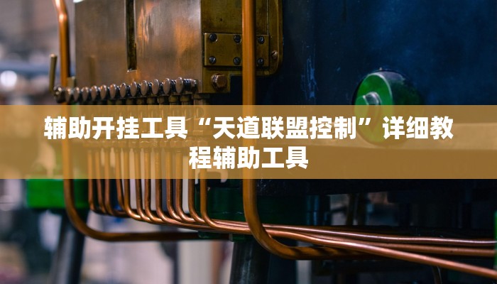 辅助开挂工具“天道联盟控制”详细教程辅助工具