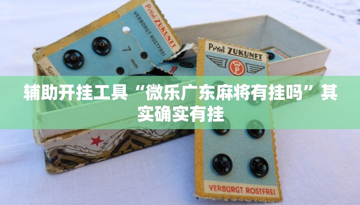 辅助开挂工具“微乐广东麻将有挂吗”其实确实有挂