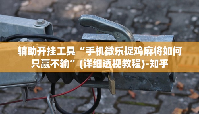 辅助开挂工具“手机微乐捉鸡麻将如何只赢不输”(详细透视教程)-知乎